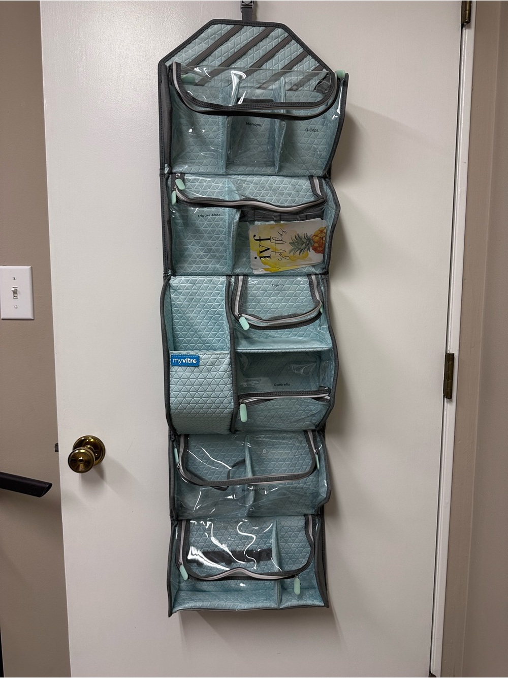 IVF Bundle!! Hanging Overdoor Organizer - Aqua Multi-Pocket Storage